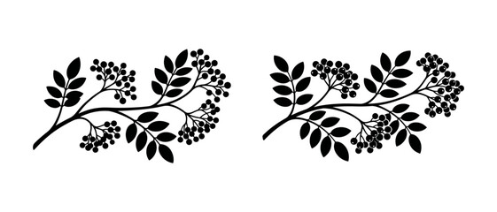 Stylized berry branch silhouettes, a versatile graphic motif for elegant autumn designs © matahari