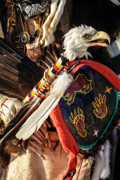 Eagle staff detail with feather and painted shield