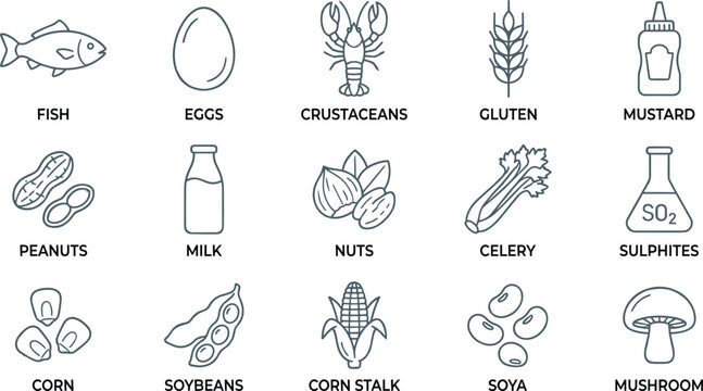 Food Allergen Outline Icon Collection with Fish, Eggs, Milk, Nuts, Gluten, Soy, and Mustard Symbols for Packaging Design Projects