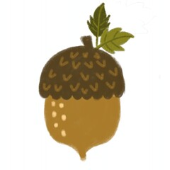 acorn with leaf © Ferridian
