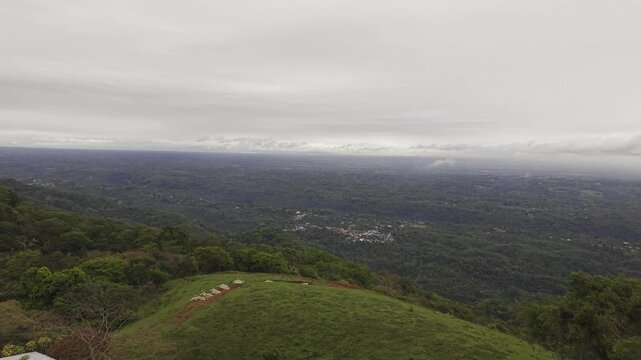 Vista de la selva en veracruz