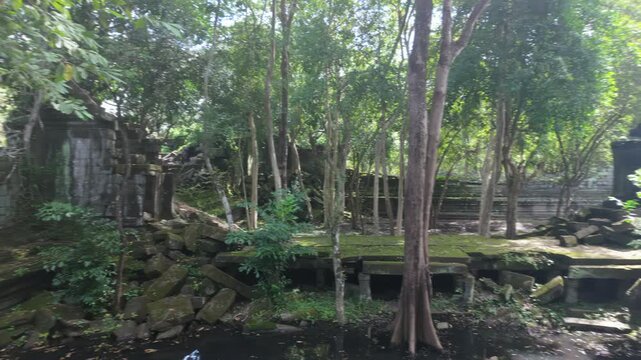 Ancient ruins overgrown with jungle vegetation in Prasat Beng Mealea, Siem Reap, Cambodia. The crumbling stone structures and water features suggest a lost civilization.
