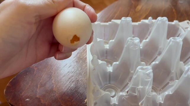 A close-up hand holds a chicken egg with a shell in which a small round hole is made