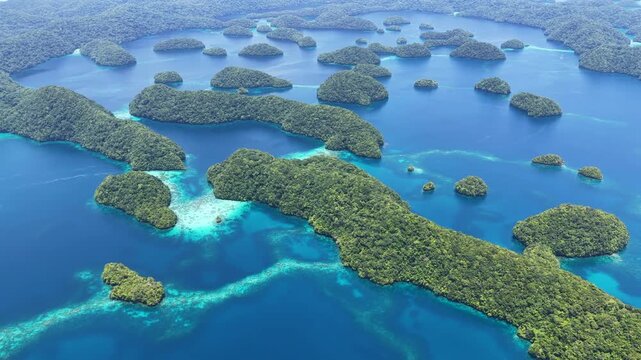 Biodiverse coral reefs thrive amid Palau's scenic Rock Islands. This extraordinarily beautiful island-nation is a popular destination for divers, snorkelers, kayakers, and World War II historians. 