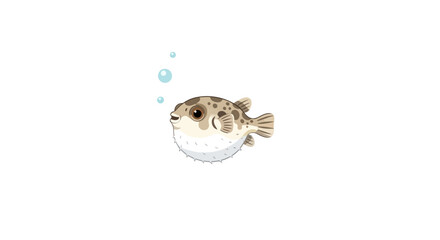 Puffed up puffer fish swimming. © ainul