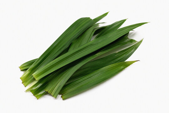 Fresh pandan leaves isolated on white background