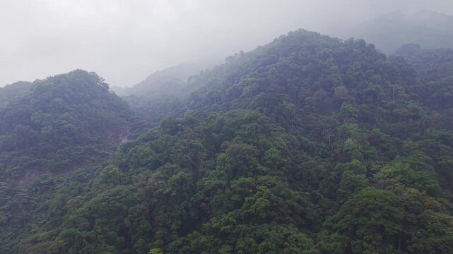 monta&ntilde;as repletas de arboles en un clima lluvioso