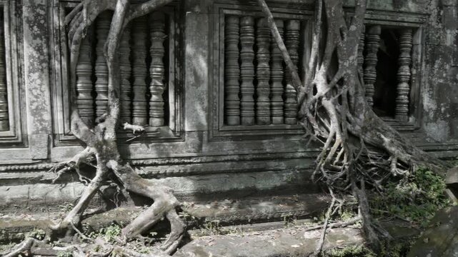 Ancient stone carvings and tree roots intertwine at  Prasat Beng Mealea, Siem Reap, Cambodia.. This iconic jungle temple is famous for its atmospheric ruins. ,