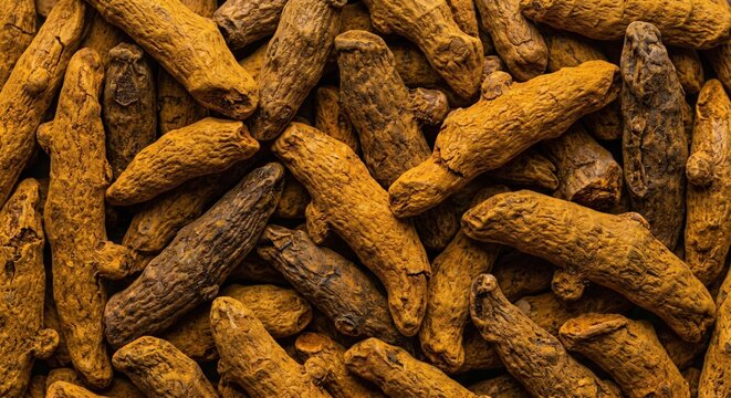 Close up overhead view of dried turmeric rhizomes with rough textured brown and golden yellow surfaces