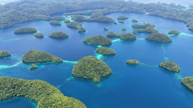 Biodiverse coral reefs thrive amid Palau's scenic Rock Islands. This extraordinarily beautiful island-nation is a popular destination for divers, snorkelers, kayakers, and World War II historians. 