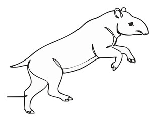 Fototapeta premium Jumping malayan tapir continuous line art vector. Generative AI