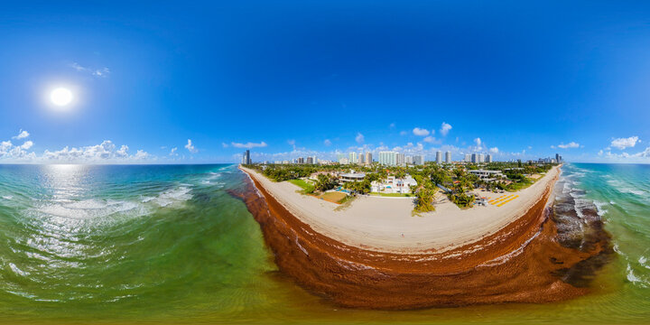Aerial 360 photo of sargassum overgrowth on a Florida beach with luxury oceanfront mansion homes