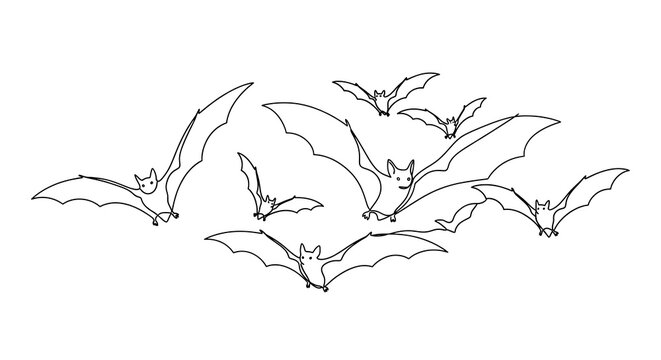 Line drawing of bats