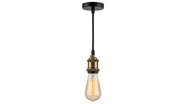 Vintage style pendant light with Edison bulb and brass lamp holder on a white background.