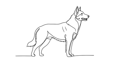 Fototapeta premium Dog line drawing