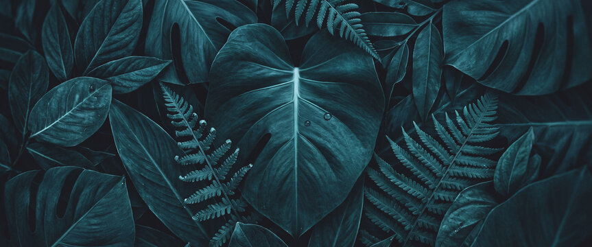 A close-up view of various dark green leaves and ferns arranged in a layered pattern, showcasing rich textures and natural beauty in a serene composition.