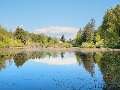 Fishtrap Creek Park during a spring season in Abbotsford, British Columbia, Canada
