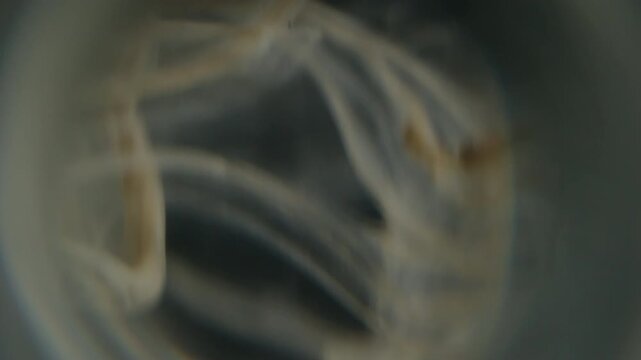 Defocused haze mix. Ink blob. Dirty brown gray color dye dissolving underwater. Art sphere lens swirling glow on black abstract background.