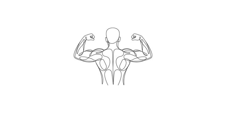 Anatomical illustration of a muscular man from the back with flexed arms showing biceps and triceps isolated on white background