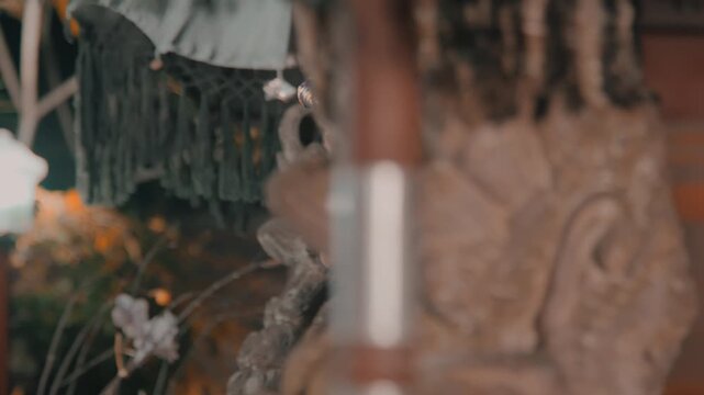 Artistic Shot of Man Through Temple Decor