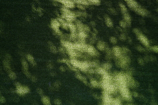 Artificial grass lawn turf with tree shadow under sunlight