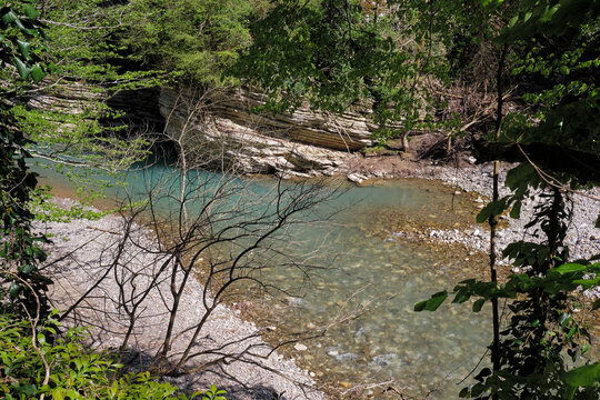 The turquoise Khosta River in Yew-Boxwood Grove.