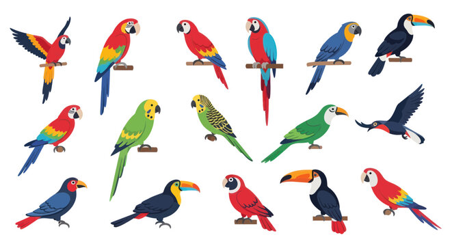 Colorful Tropical Birds Collection: Parrots and Toucans