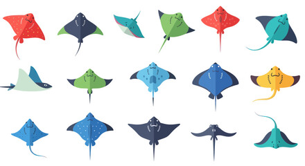 Colorful Stingrays and Manta Rays Collection, Flat Design © Kali