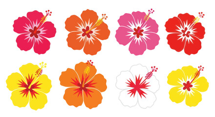 Obraz premium Vibrant Hibiscus Flower Collection - Tropical Floral Design Elements