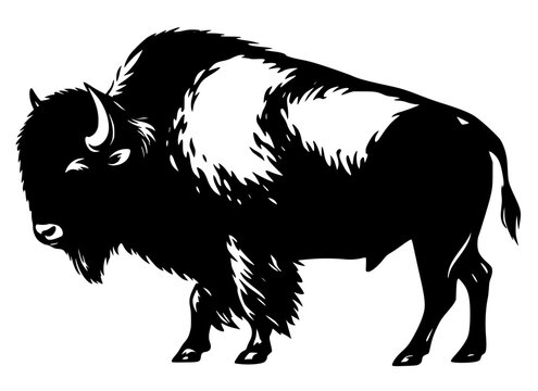 Minimalist black silhouette of a powerful bison in profile, high‑contrast vector art emphasizing horns, mane, and muscular form. Perfect for logos, icons, or wildlife themes.