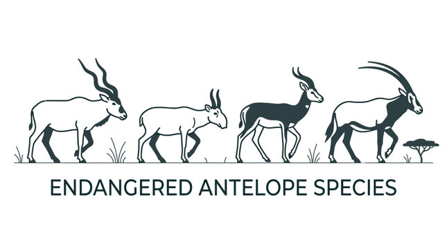 Illustration of endangered antelope species in a linear design style.