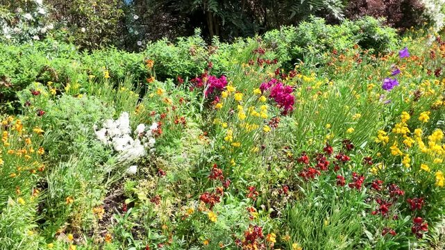 Vibrant Wildflower Garden Bed Blooming in a Paris Park