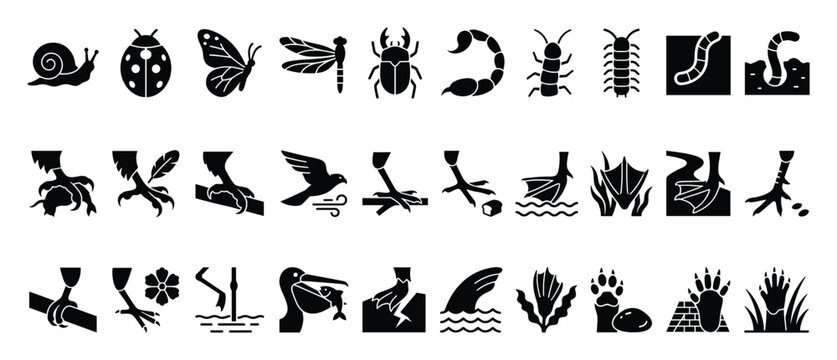 Set of animal icons. Insects, arachnids, invertebrates, birds, mammals, wildlife, nature symbols. Featuring bird claws, webbed feet, pelican, shark, paw prints. Zoology, ecology, biology vector