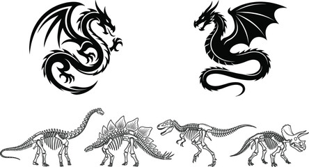 Fantasy Dragon Emblems and Dinosaur Skeleton Collection with Prehistoric Fossils and Mythical Creature Vector Set © SreeRupali