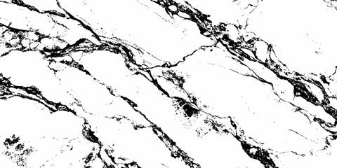 Fototapeta premium Natural Black and White Marble Texture Background with Premium Luxury Stone Vein Pattern.