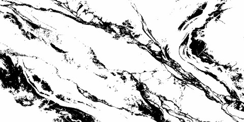 Obraz premium Premium Abstract Marble Texture Background with Bold Black and White Stone Vein Design.