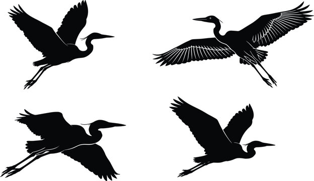 Silhouette illustration of four graceful flying herons or cranes in diverse wing positions, isolated on white background, symbolizing elegance and motion