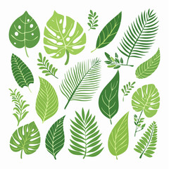 Fototapeta premium Collection of Green Tropical Leaves