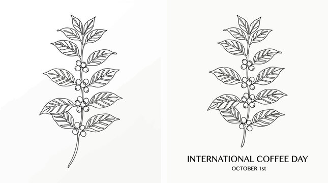 Hand drawn coffee plant branches illustration for International Coffee Day.