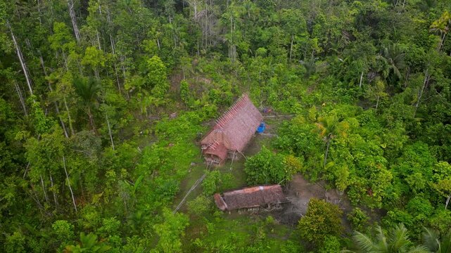A serene landscape with a hut in the jungle. A countryside with lush greenery and a babbling brook