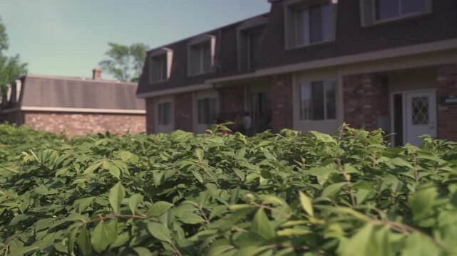 Brick Residential House Exterior with Green Shrubs and Bushes