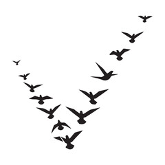 Black silhouette of a flock of birds flying in a V-formation graphic illustration for migration and nature themes © Zulfa