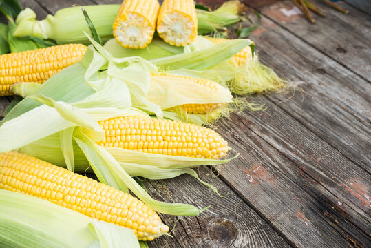 Maize. Fresh Corn on old wooden table