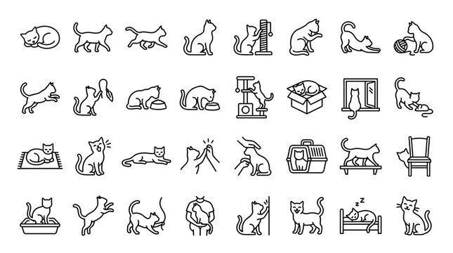Set of various cat line art icons depicting feline behaviors and activities.