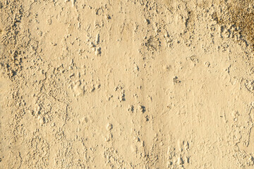 Obraz premium Light yellow or cream-colored plaster wall with a texture. The surface is rough and uneven, displaying a detailed plaster or sand-like texture.