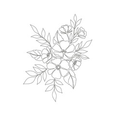 Fototapeta premium Floral outline illustration, botanical sketch with delicate blooms, minimal style