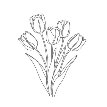 Elegant Tulip Line Art Illustration - Vector Drawing of Flowers