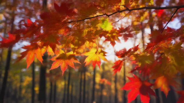 Vibrant Autumn Maple Leaves in a Sunlit Forest 4K Generative AI