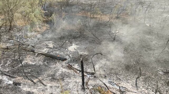 Fuegos y rescoldos tras un incendio forestal