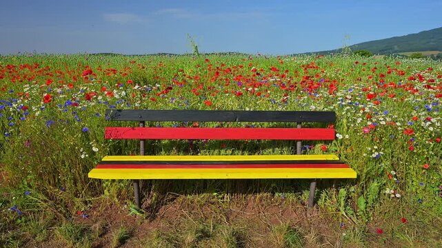 Sitzbank in den Farben der deutschen Flagge vor einem Blumenfeld mit Schlafmohn (Papaver somniferum), und Klatschmohn (Papaver rhoeas), Sommer, Germerode, Geo Naturpark Frau-Holle-Land, Hoher Meissner